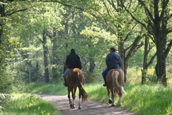 rando_a_cheval_sur_les_sentiers_de_randonnee_du_pays