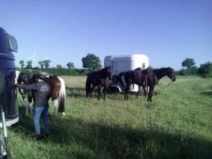 Accueil de Randonneur équestre au camping