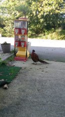 DES VACANCES POUR TOUS!