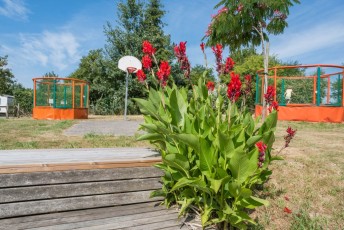 AIRE DE JEUX CAMPING ARZAL MORBIHAN